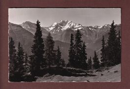 RIEDERALP - Laquinhorn - Fletschhorn