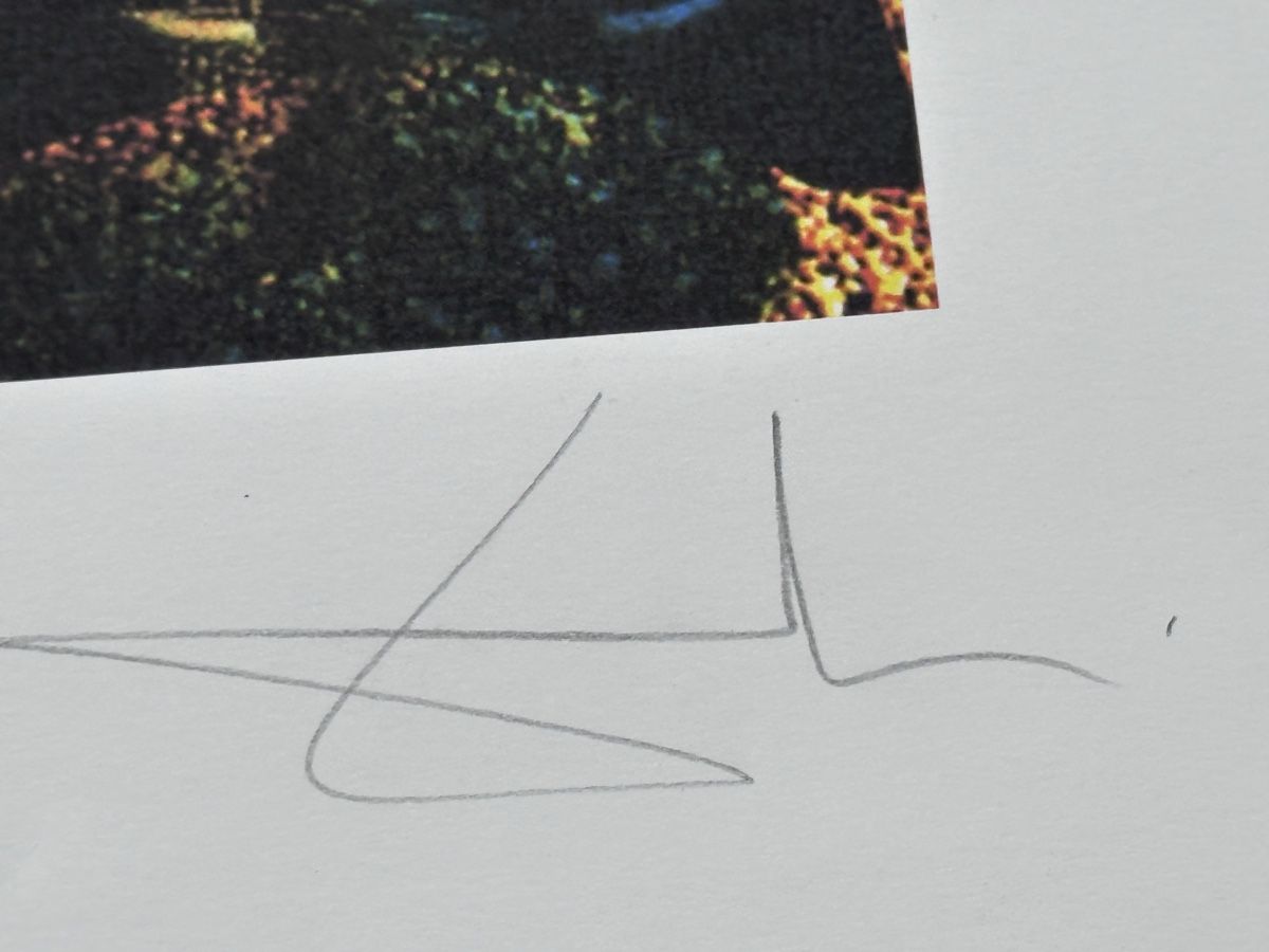 Grafica & Litografie: Salvador Dali "Moses and Monotheism" – Usato da Zürich venduto da Ddechkovd 3