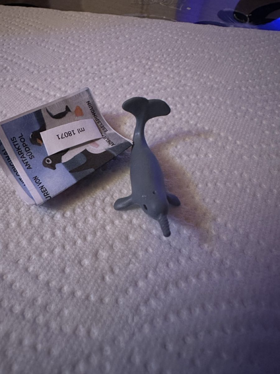 Schleich Statuette: Schleich Tier - Arktiswahl – Nuovo e nell'imballaggio originale da Wangen b. Olten venduto da MOMO80 1
