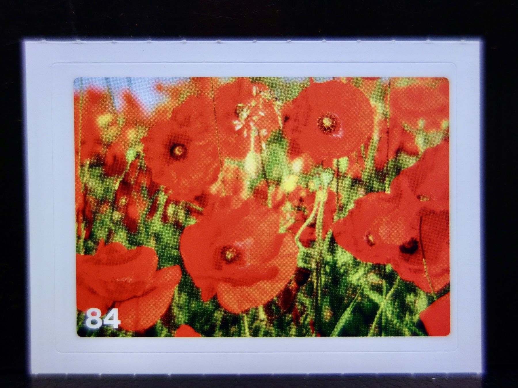 Migros Carte collezionabili: MIGROS MANIA Nature Detectives Nr. 84 – Nuovo e nell'imballaggio originale da Kerzers venduto da djstarsky73