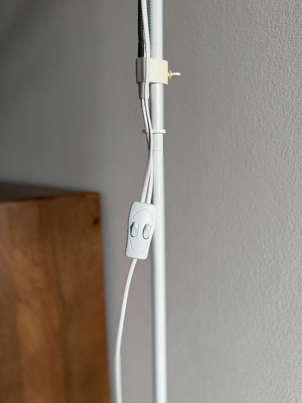 Lampade: Floor Lamp with two lights – Usato da Zug venduto da mysrgsrg 4