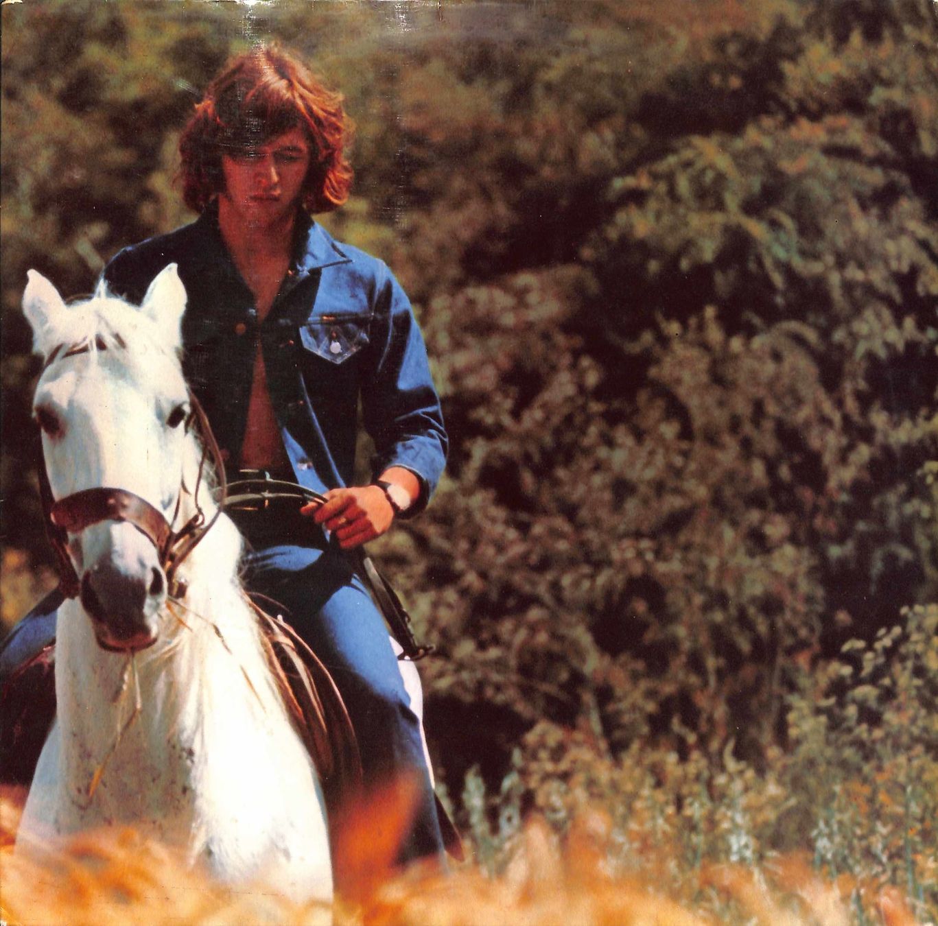 Schallplatten: LP: Peter Maffay - Du bist wie ein Lied – Gebraucht aus Trimmis von Dres2