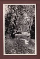 TEUFELSCHLUCHT zwischen Hagendorf und Langenbruck
