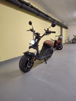 E Roller Züriflizzer City Rider