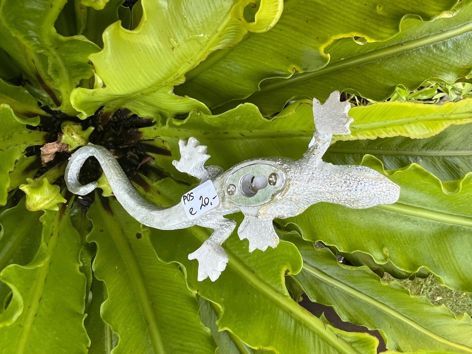 Tutte le decorazioni: 1 Gecco Salamander Deko mit Aufhänger – Nuovo (secondo la descrizione) da Bern venduto da FANTASTICTREASURES 4