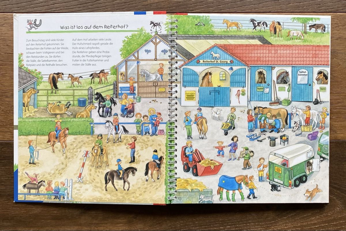 Libri: Bilderbuch Pferde & Ponys – Usato da Pfäffikon ZH venduto da aveo14 1