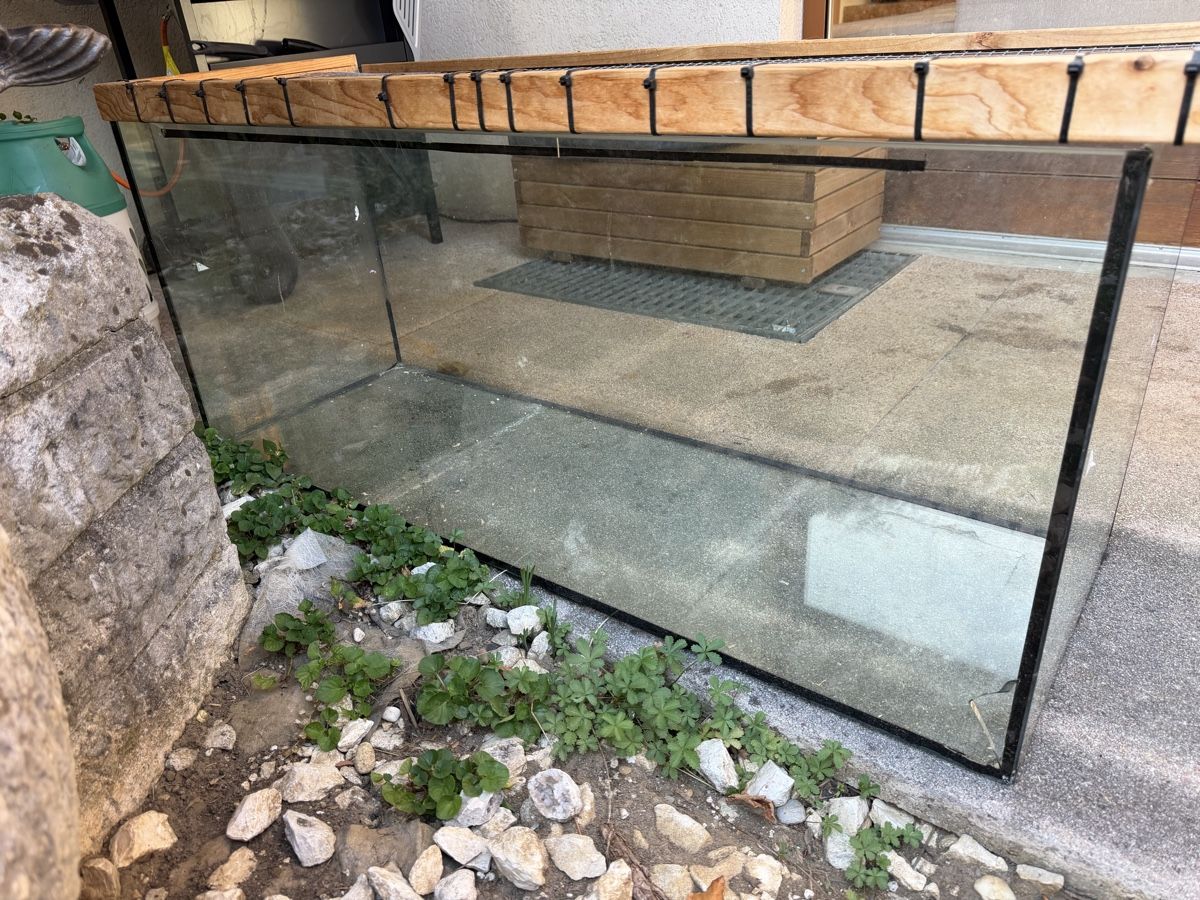 Terrarium: Terrarium – Gebraucht aus Hofstetten SO von Elbi 2