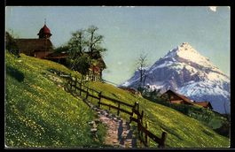 AK Gurtnellen, Alpenwiese mit Weg, Gehöften und Berg