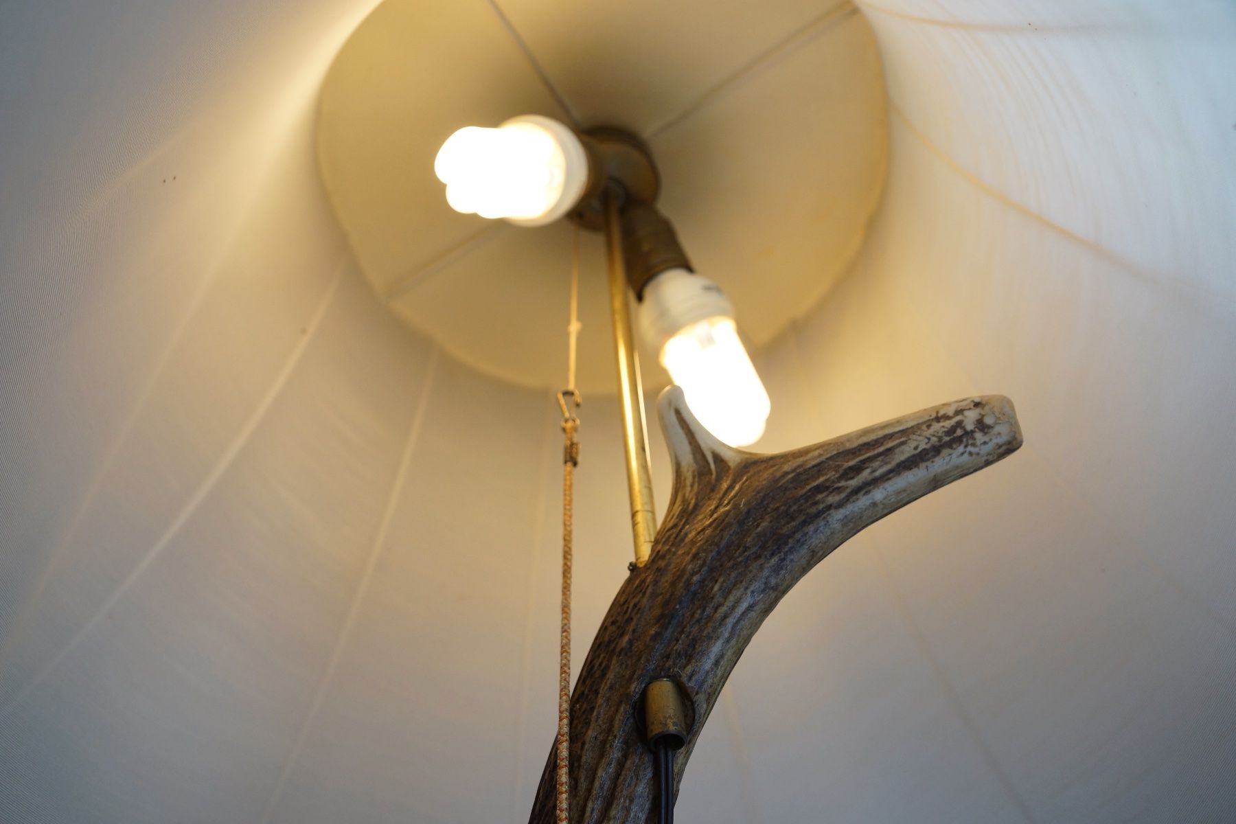 Lampade: Ständerlampe aus Hirschhorn – Usato da Obstalden venduto da Porco13 6