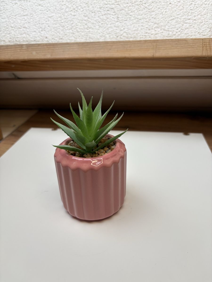 Alle Dekorationen: Lots de décorations  – Gebraucht aus Le Locle von Charlotte_122 4