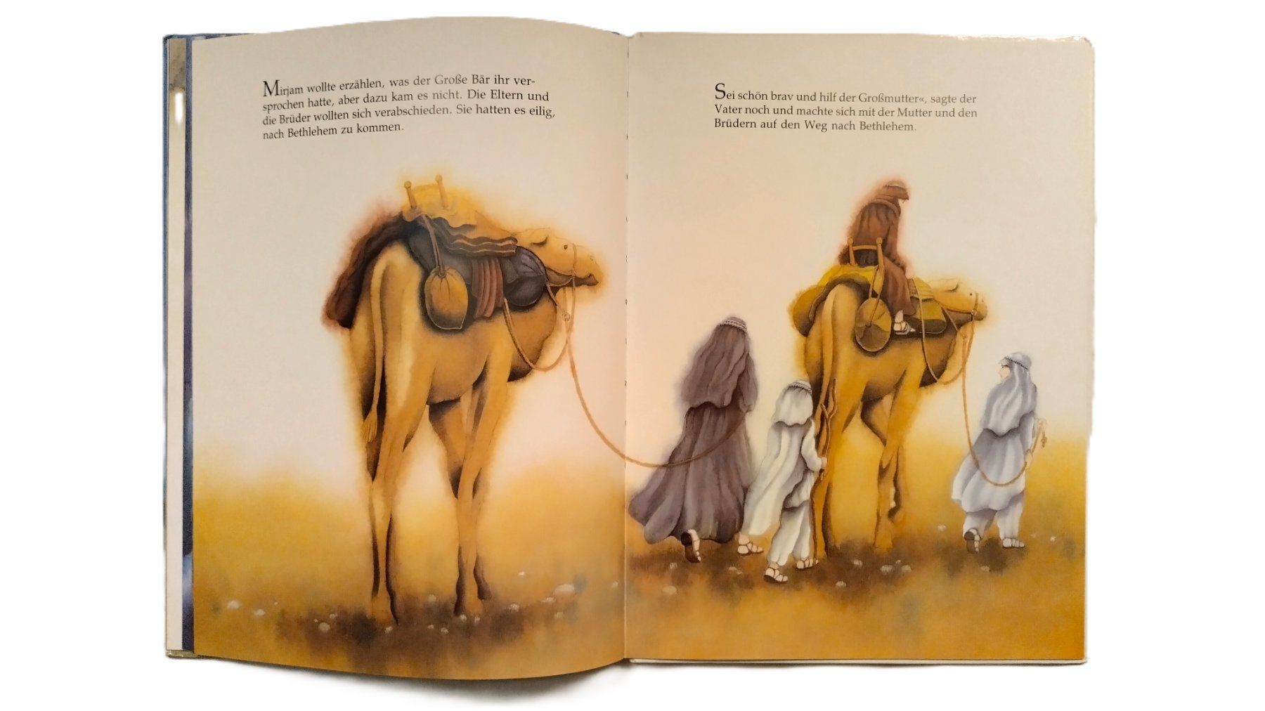Libri: Mirjams Geschenk - Eine Weihnachtsgeschichte /Marcus Pfister – Usato da Bellach venduto da JingleJerry 6