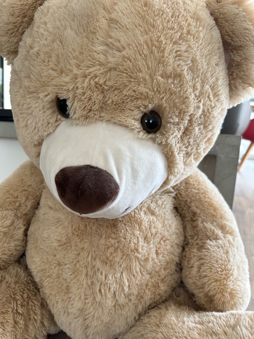 Giocattoli: Grosser Teddybär sucht neues Zuhause – Usato da Wigoltingen venduto da Sashpa 5