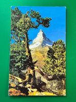Zermatt - Riffelalp mit Matterhorn