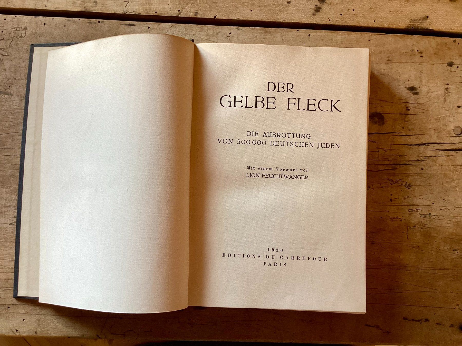 Bücher: Der gelbe Fleck, Feuchtwanger, Antisemitismus, Judaica – Gebraucht aus Ronco sopra Ascona von R66sA22 2