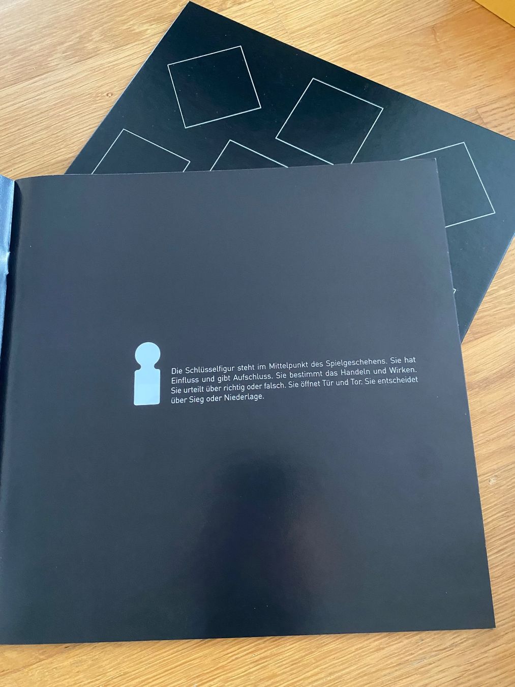 Jeux: Spiel In&Out Neu – Neuf avec emballage d'origine à Riedholz par emm_22qn 4