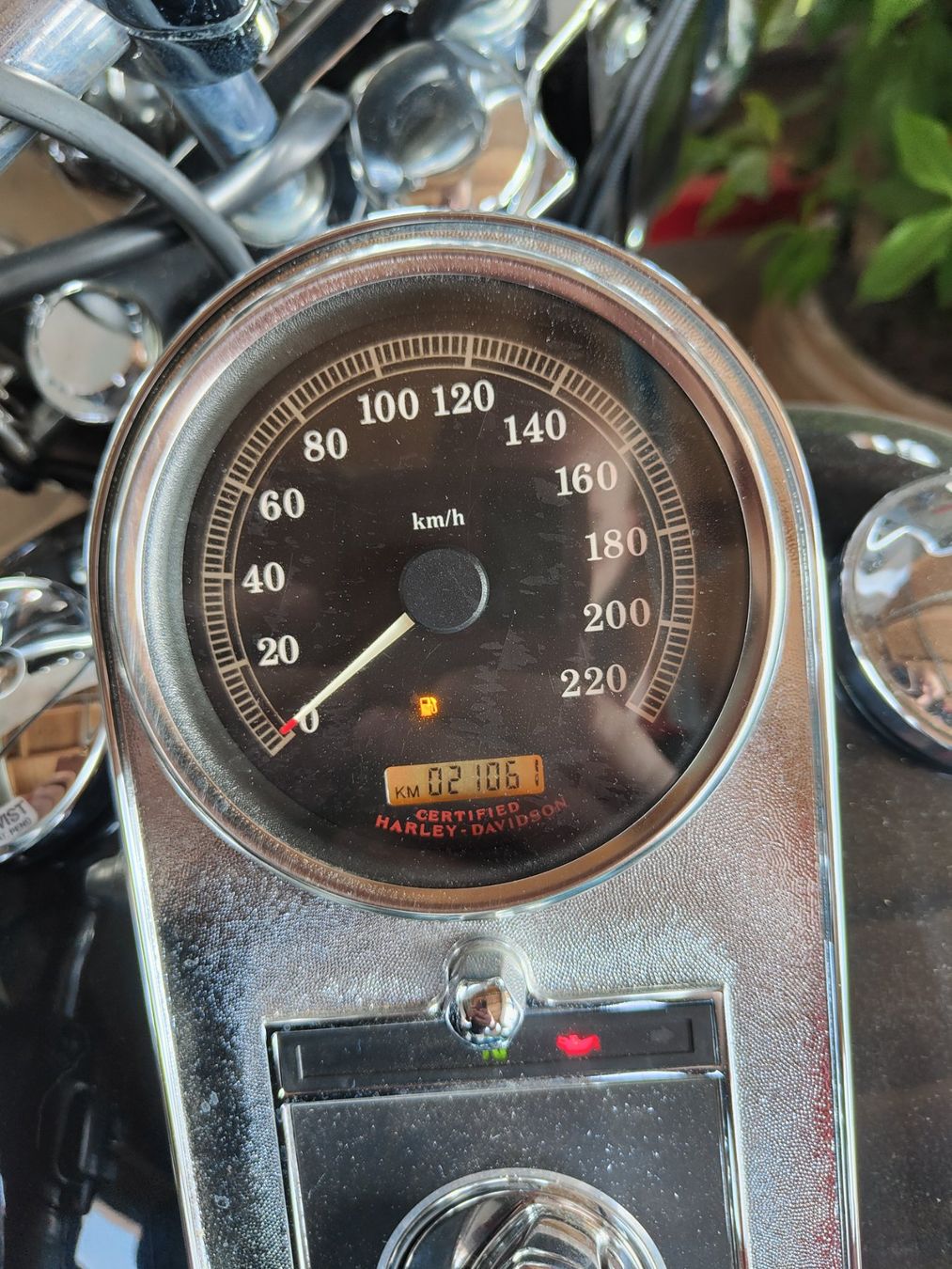 Harley-Davidson Cruisers: Harley Davidson Softail – D'occasion à Rebstein par Urabus93 4