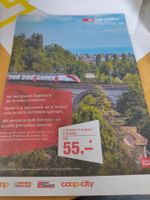 Tageskarte SBB CFF 2. kl gültig bis 28.10.2026