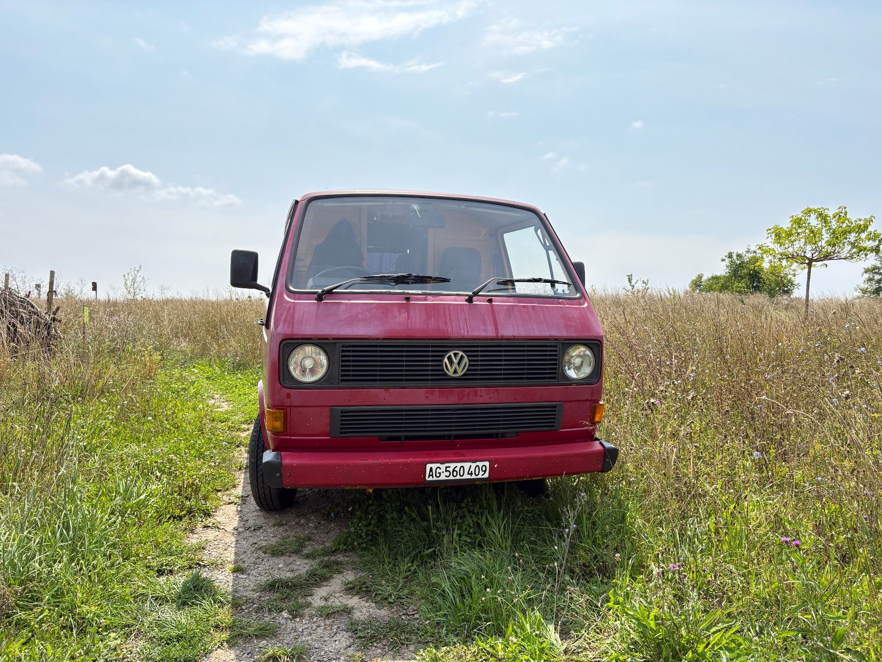 Westfalia Veicoli da campeggio: VW Bus, Westfalia - Ausbau – Usato da Wettingen venduto da Plixie 2