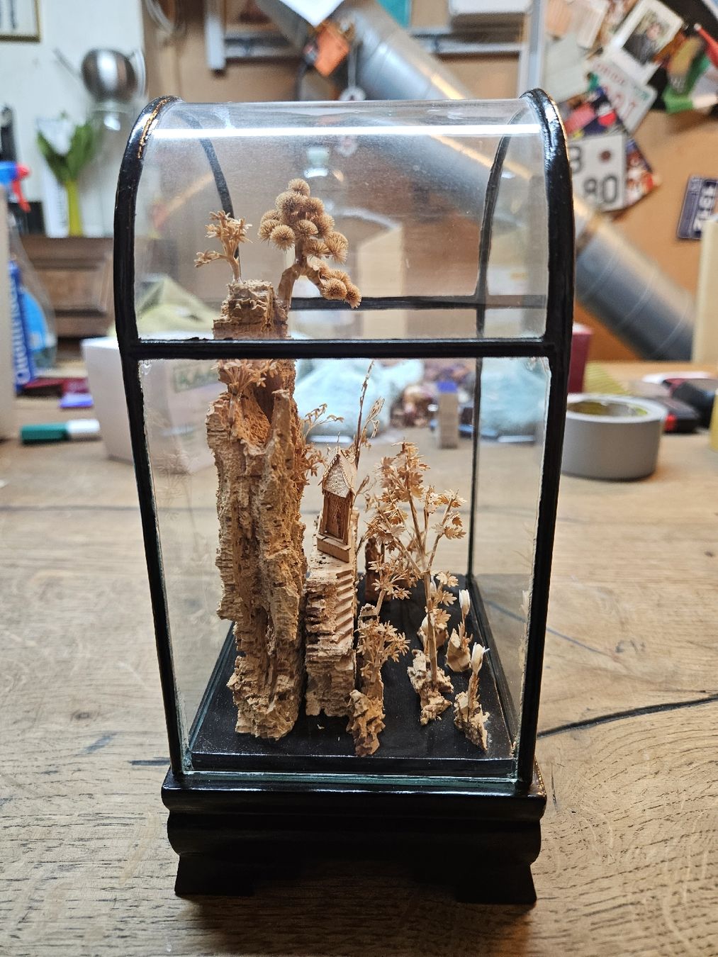 Modellbausätze & Standmodelle: Miniature garten diorama mit glaskuppel (V)  – Gebraucht aus Rorschach von TimelessTrading 1