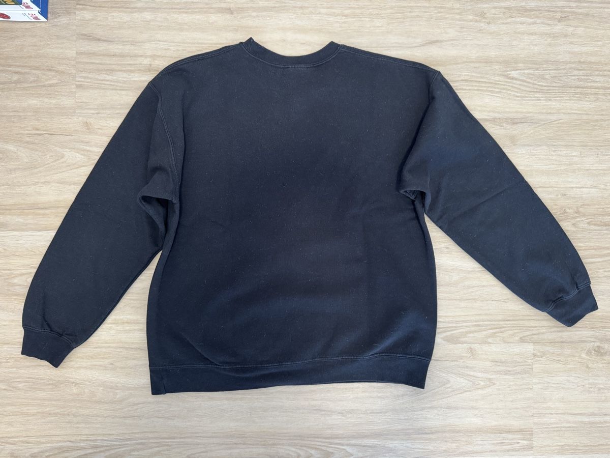 Maglioni & Felpe: Gildan Champion Pullover schwarz, L – Usato da Maisprach venduto da jokoundklaas 2