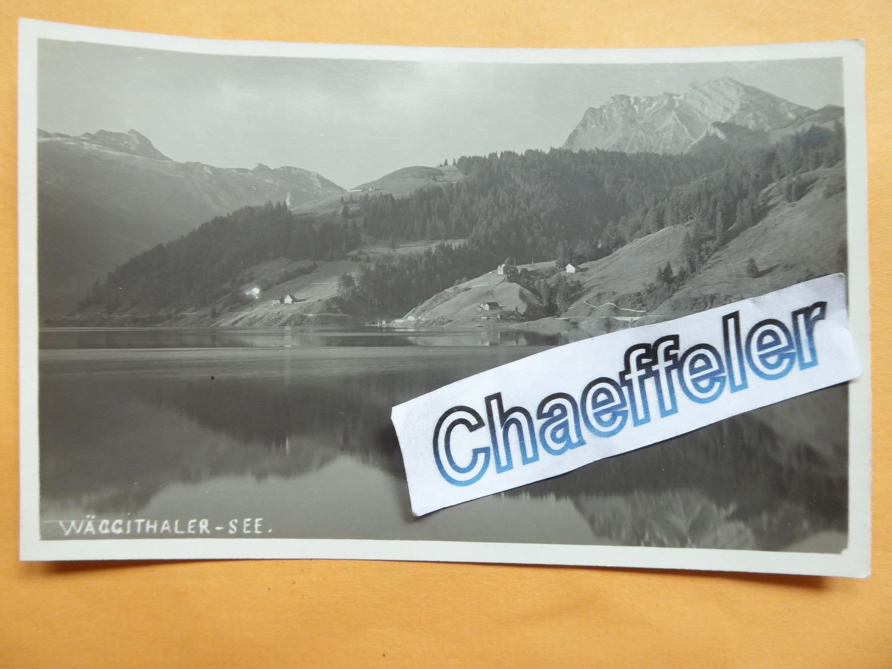 Cartoline postali: Wäggithalersee – Nuovo (secondo la descrizione) da Zürich venduto da Chaeffeler