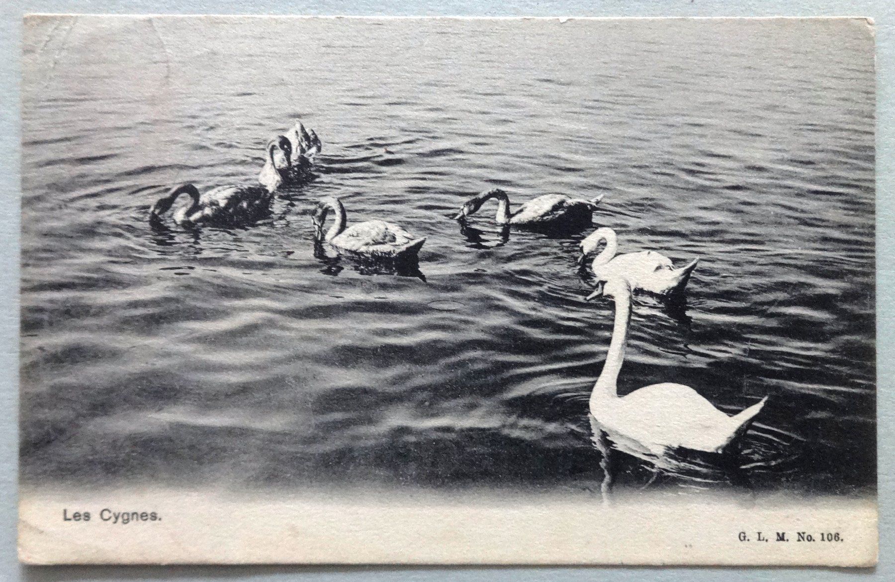 Cartoline postali: Les Cygnes – Difettoso da Fétigny venduto da Billy2miny