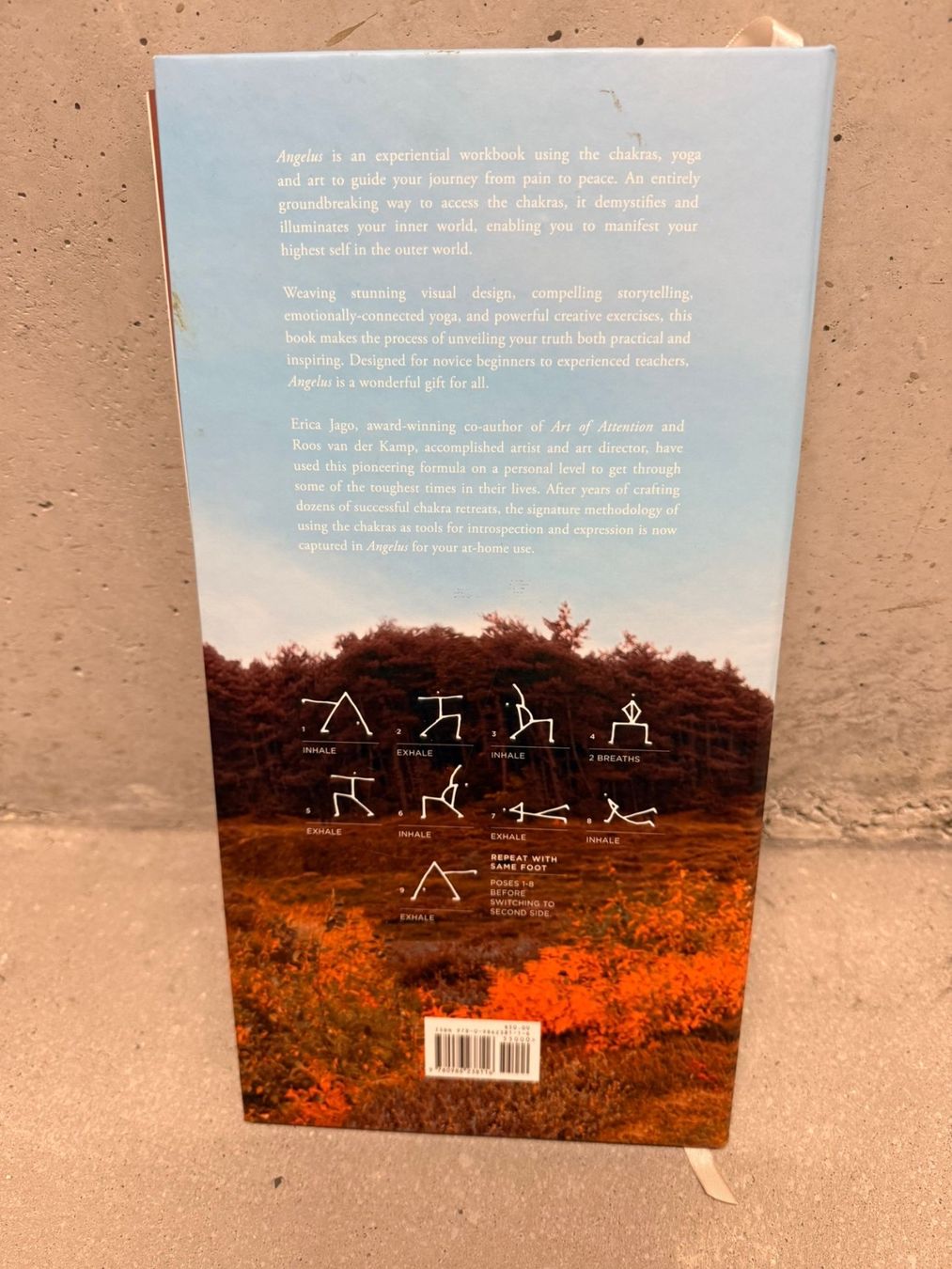 Libri: Angelus Chakra Workbook - Yoga – Usato da Basel venduto da Tierschutz-Flohmi 1