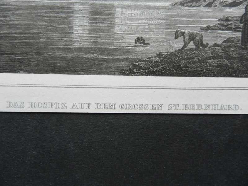 Stiche: grosser St.Bernhard – Gebraucht aus Risch von Rischli15 2
