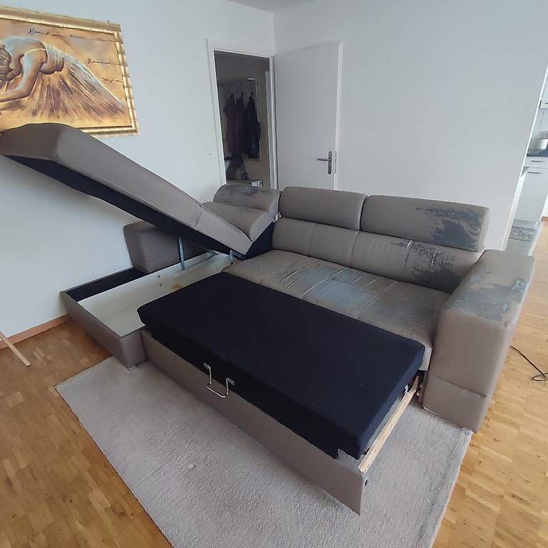 Divani: Sofa – Usato da Lenzburg venduto da alf_8gxc
