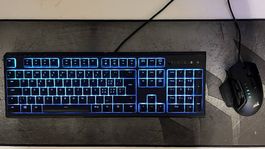 Marken-Gaming Tastatur und Maus (Razor, Corsair 