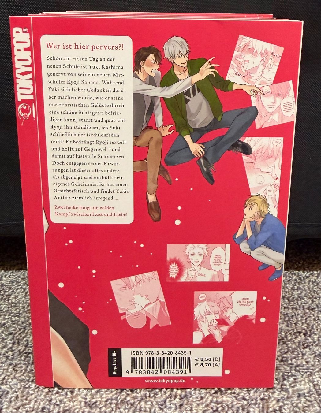 Fumetti: BL Manga: Simplified pervert romance 1-6 – Nuovo (secondo la descrizione) da Triesen venduto da cla_q2js 1