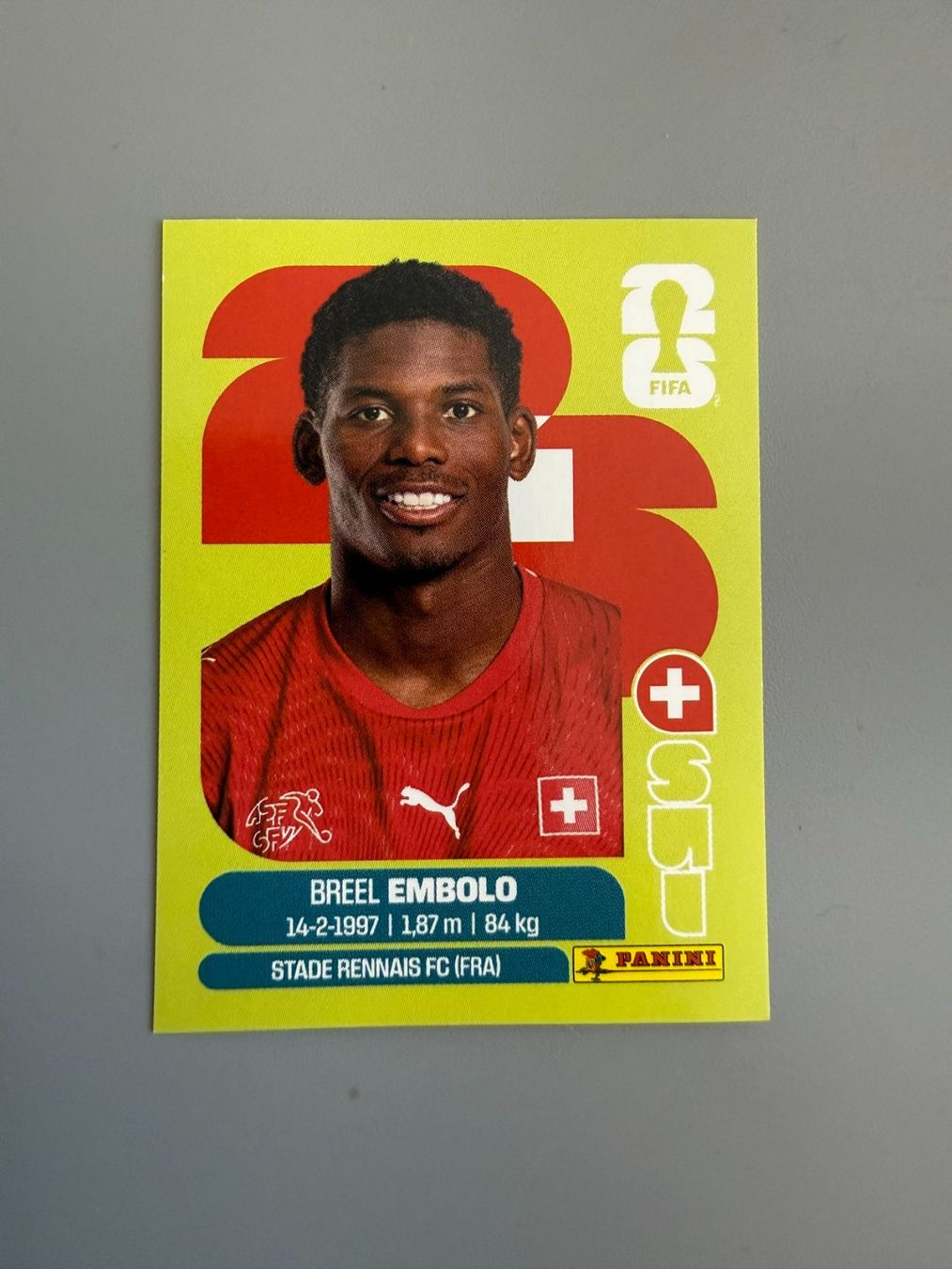 Panini Carte collezionabili: Panini Breel Embolo SUI17 – Usato da Liebefeld venduto da Ronaldo-1996