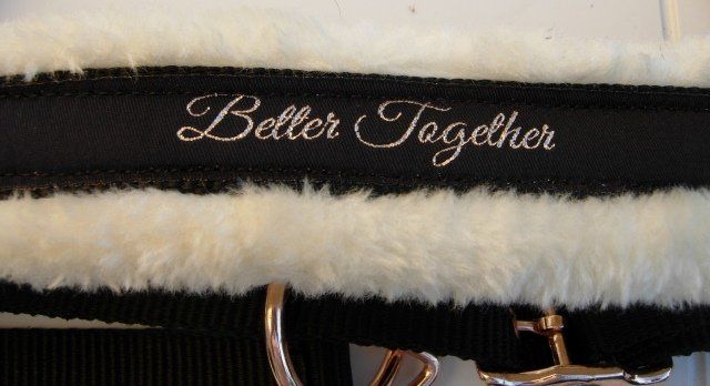 Briglie & Cavezze: Stallhalfter von Showmaster für Warmblut – Nuovo (secondo la descrizione) da Dübendorf venduto da rumpumpel 5