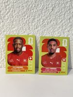 Panini FIFA World Cup 2026 Sticker Zakaria Amenda