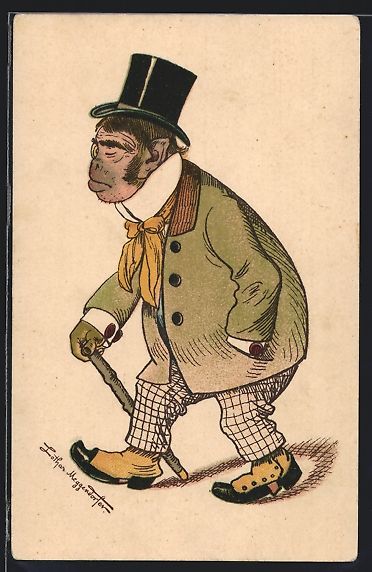 Cartoline postali: Meggendorfer Blätter Nr. 978: Affe im A – Usato da Berlin venduto da bartko-reher