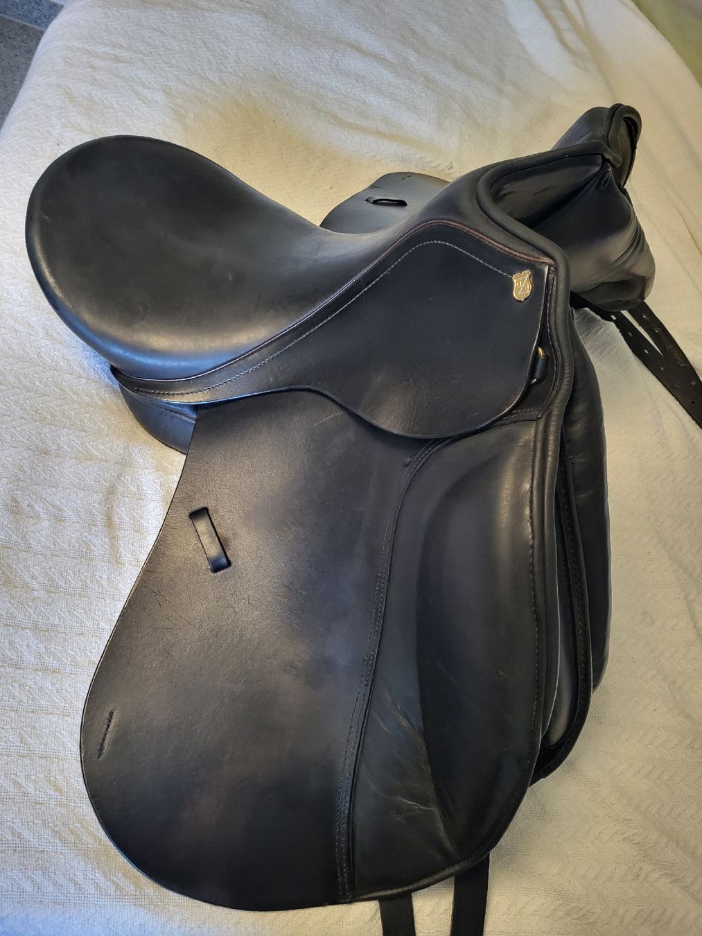 Selle & Accessori: dressursattel kurz 18" massimo – Usato da Zuzwil SG venduto da TSGWEAL1 1