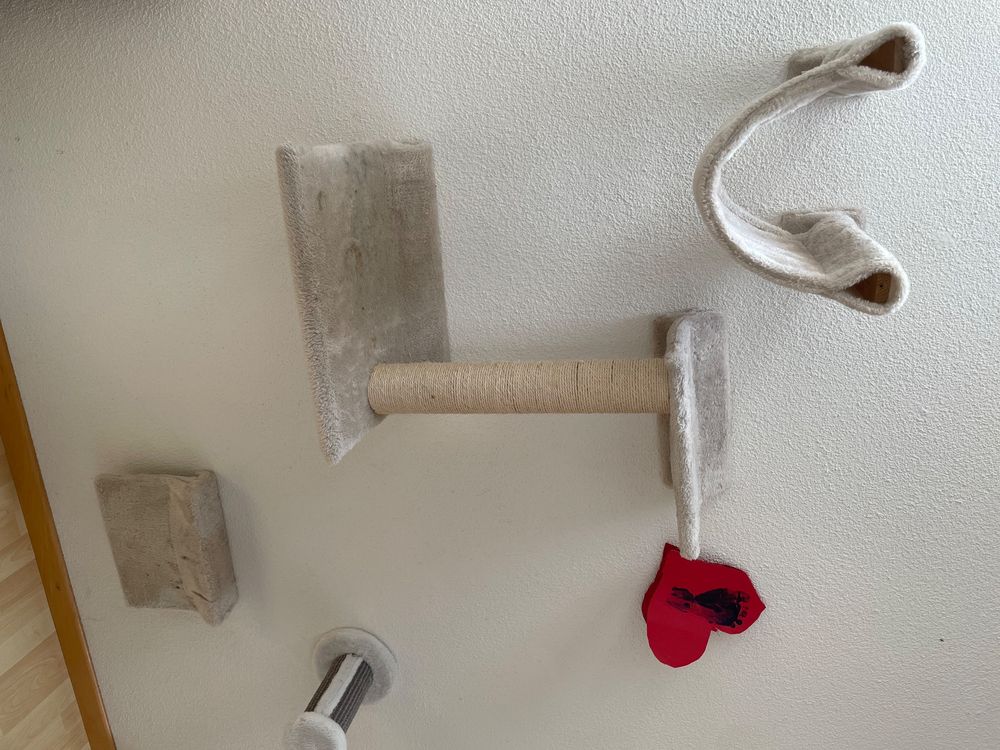 Katzenhngematte Fr Die Wand