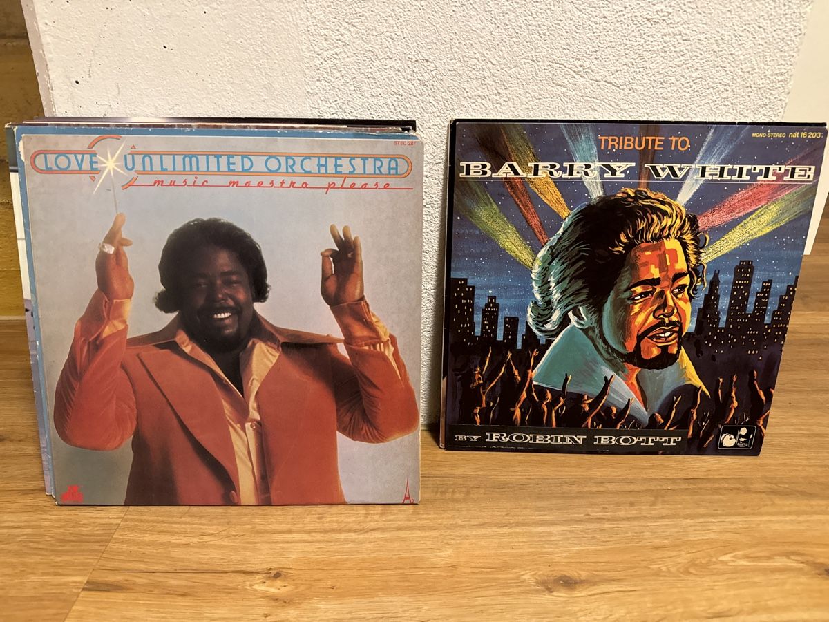 Schallplatten: Michael Jackson & Barry White Vinyl Records Collection – Gebraucht aus Pfaffhausen von mavital 3