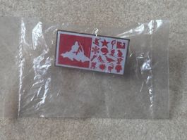 Pin Sion 2006 neuf