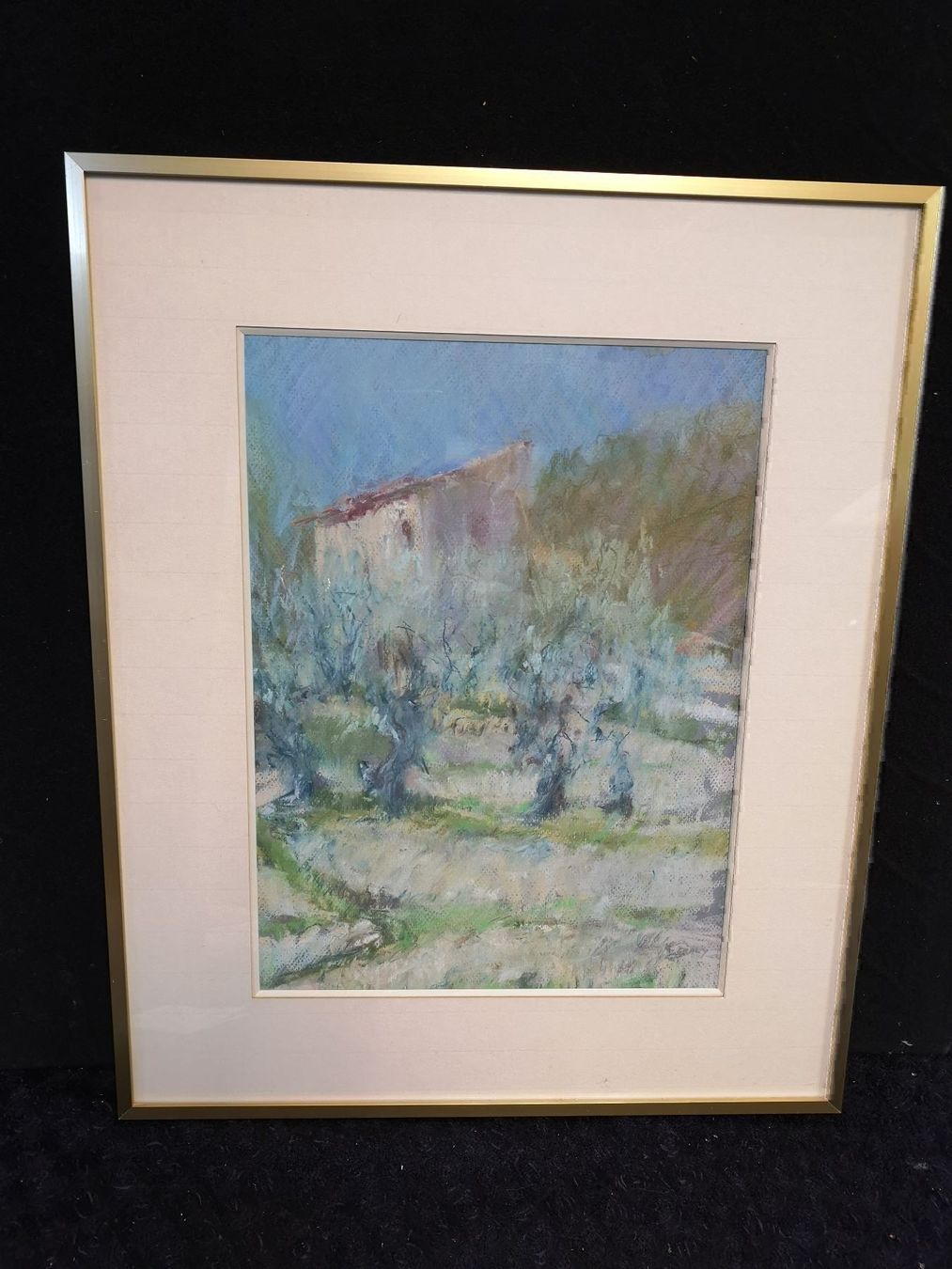 Dipinti: PASTEL SIGNÉ SOUS PLEXIGLAS – Usato da Genève venduto da Qanil77