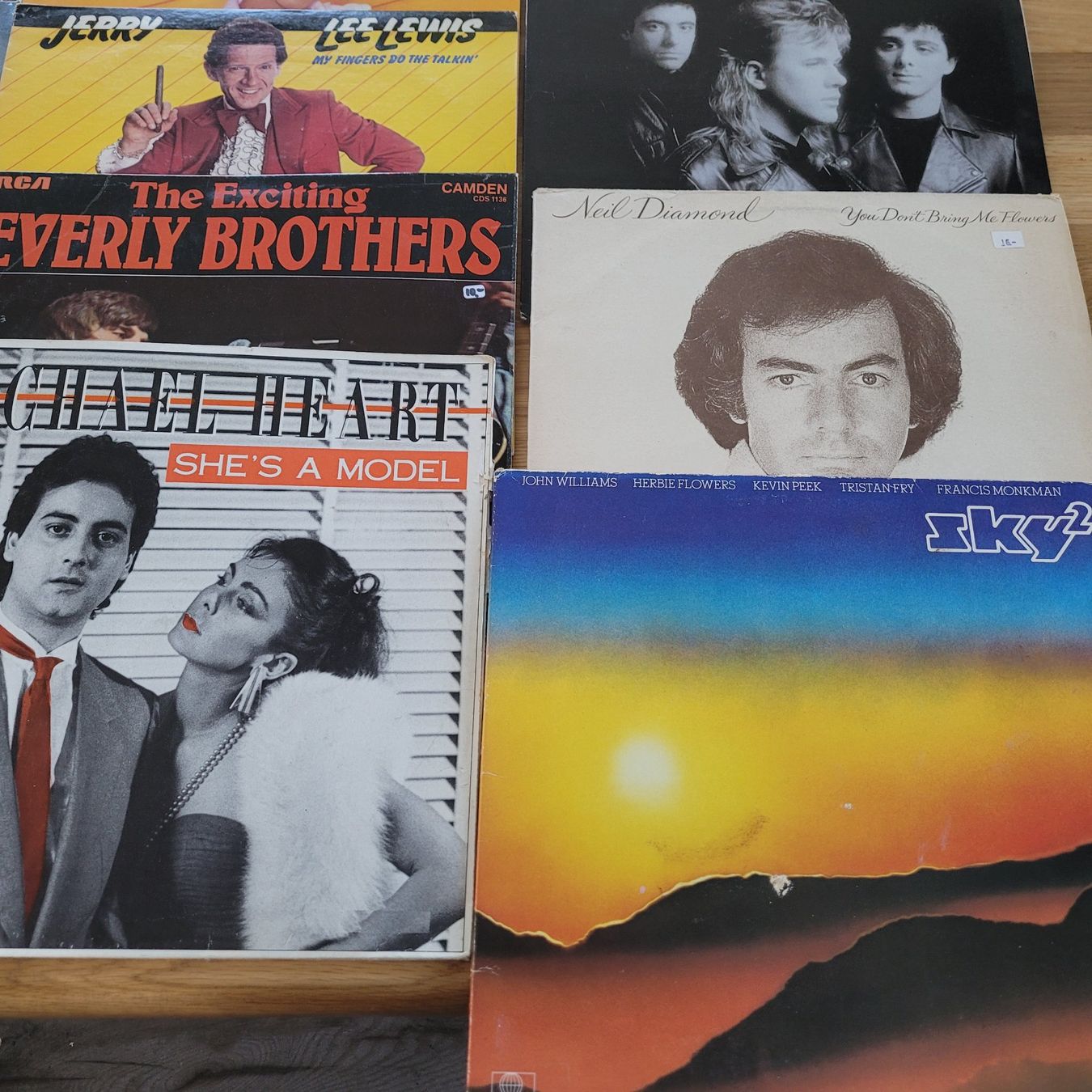 Dischi in vinile: Lot de 22 Vinyles LP – Usato da Biel/Bienne venduto da Destockweb 5