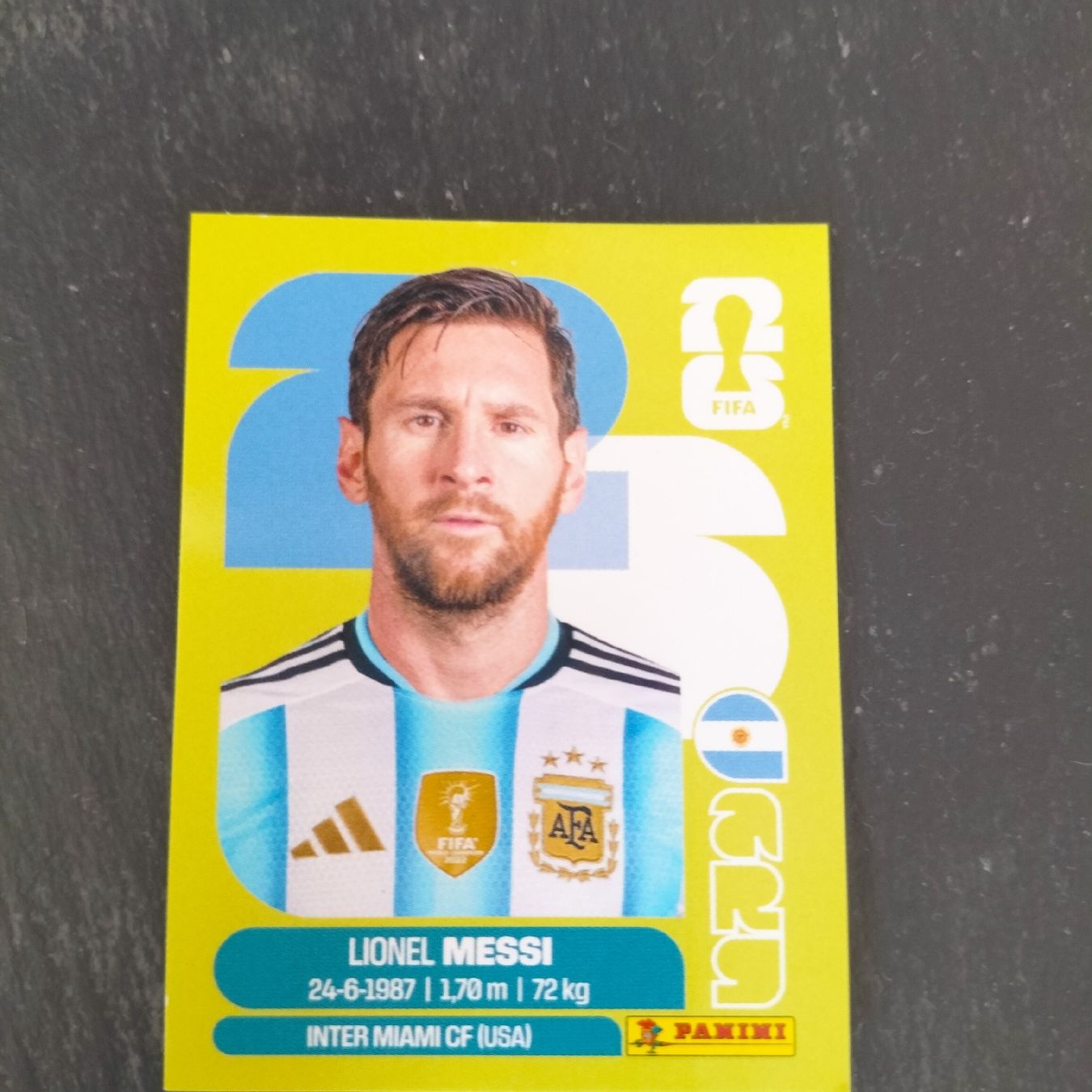 Panini Carte collezionabili: Panini Lionel Messi – Usato da Biel/Bienne venduto da Mic77100