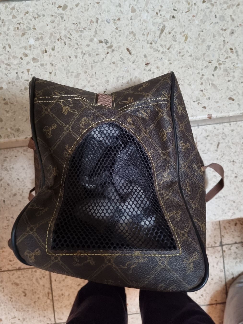 Borse: Hundetasche – Usato da Aesch BL venduto da mutti04 1
