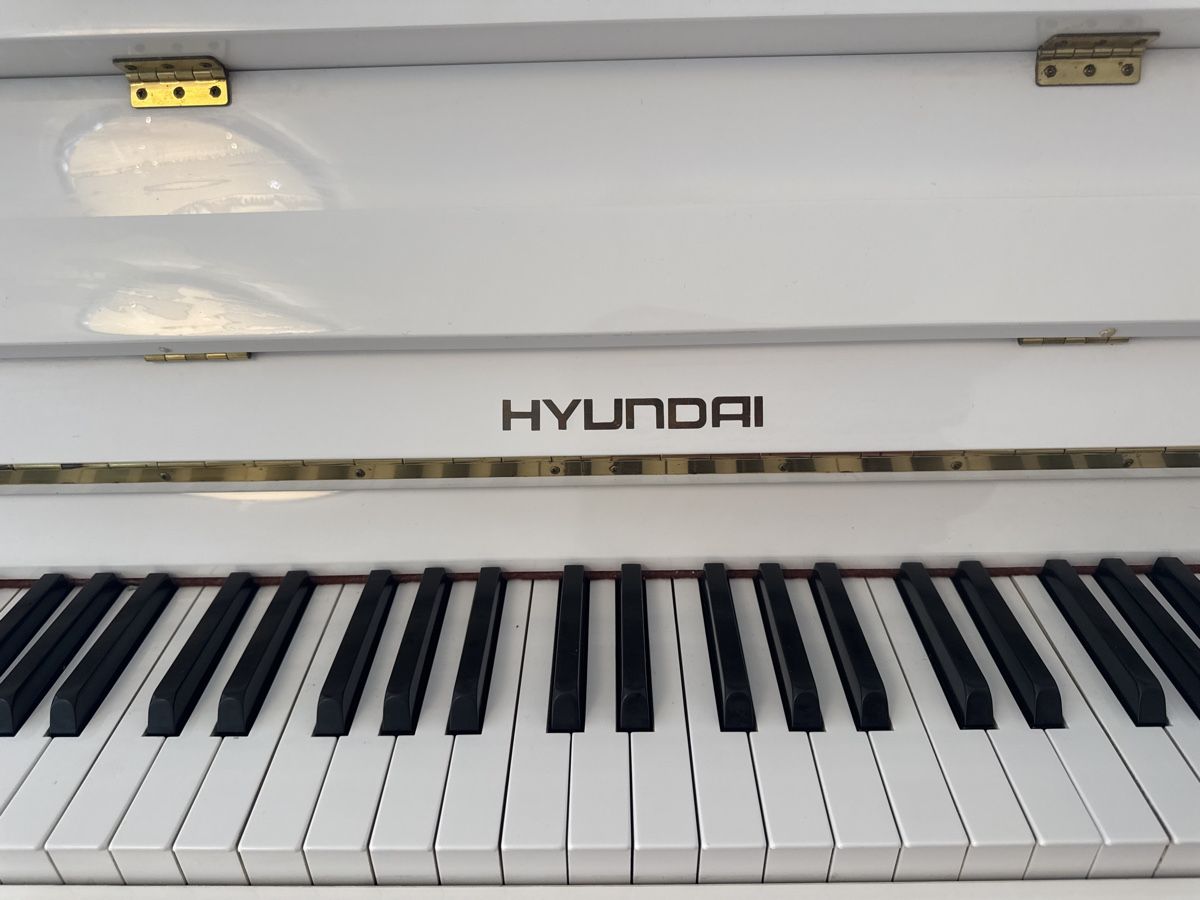 Strumenti musicali: HYUNDAI Klavier – Usato da Untersiggenthal venduto da kaanzurich 3