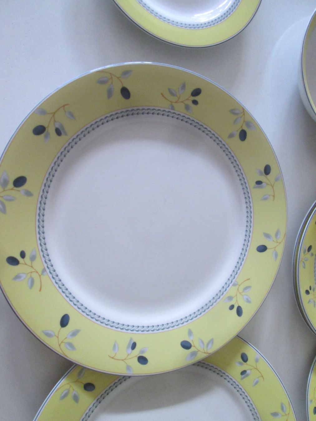 Royal Doulton Set di piatti: Royal Doulton Geschirr Blueberry – Usato da Sementina venduto da babucia 1