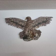 Profile image of Igel1