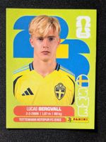 WM 2026 Panini Lucas Bergvall (SWE 8)