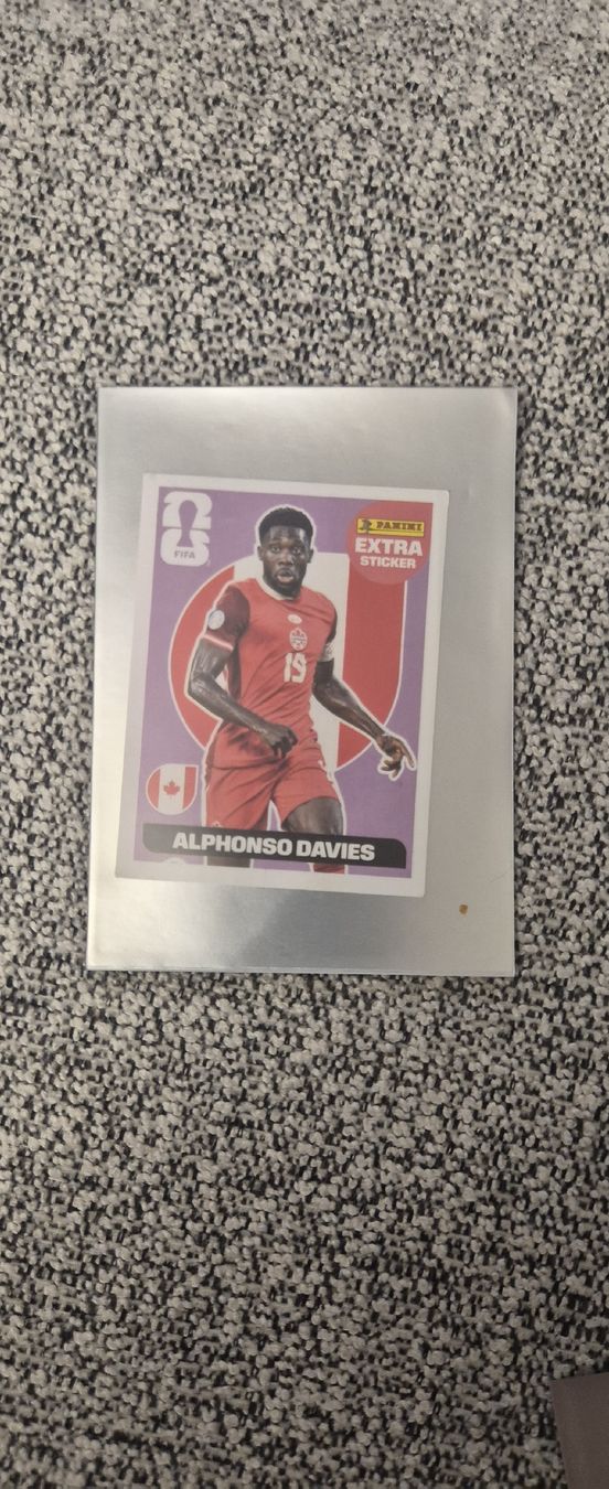 Panini Carte collezionabili: Extra Sticker Panini Top Zustand – Nuovo (secondo la descrizione) da Wetzikon ZH venduto da ifo02 6