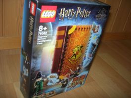 Lego Harry Potter 76382 Hogwarts Verwandlungsunterricht