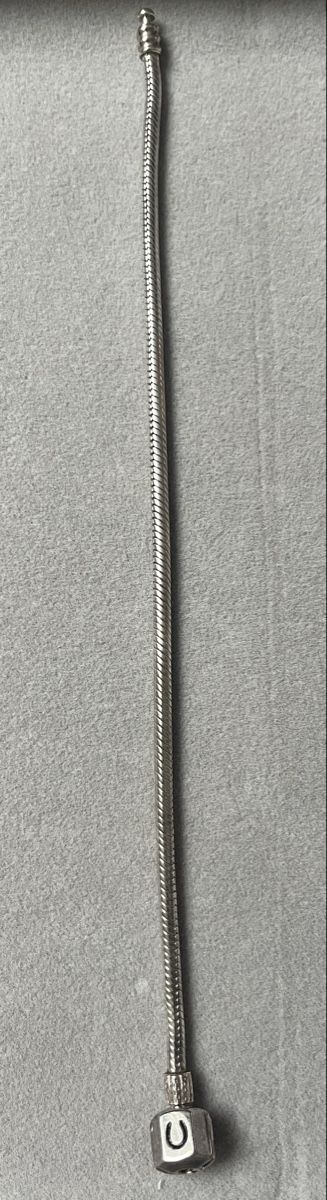 Pandora Bracelets: Armband Silber 925 – Neuf (Voir description) à Herzogenbuchsee par Carla_8 1